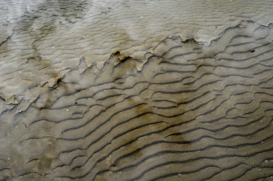 Sand_9718©ChesherCat.jpg