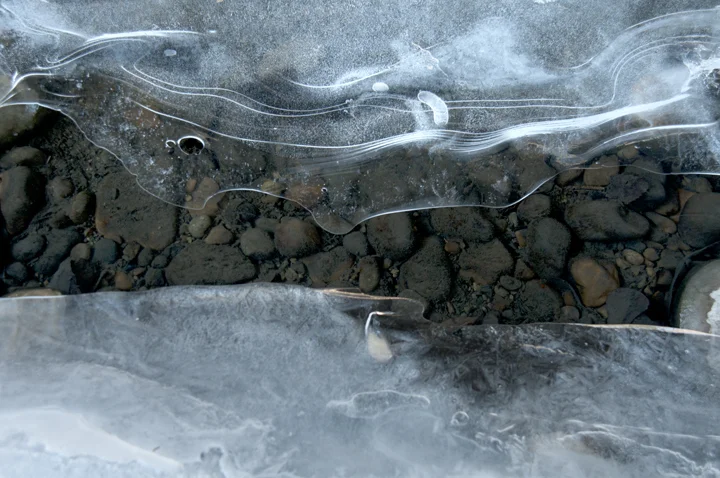 IceShelves_1879.jpg