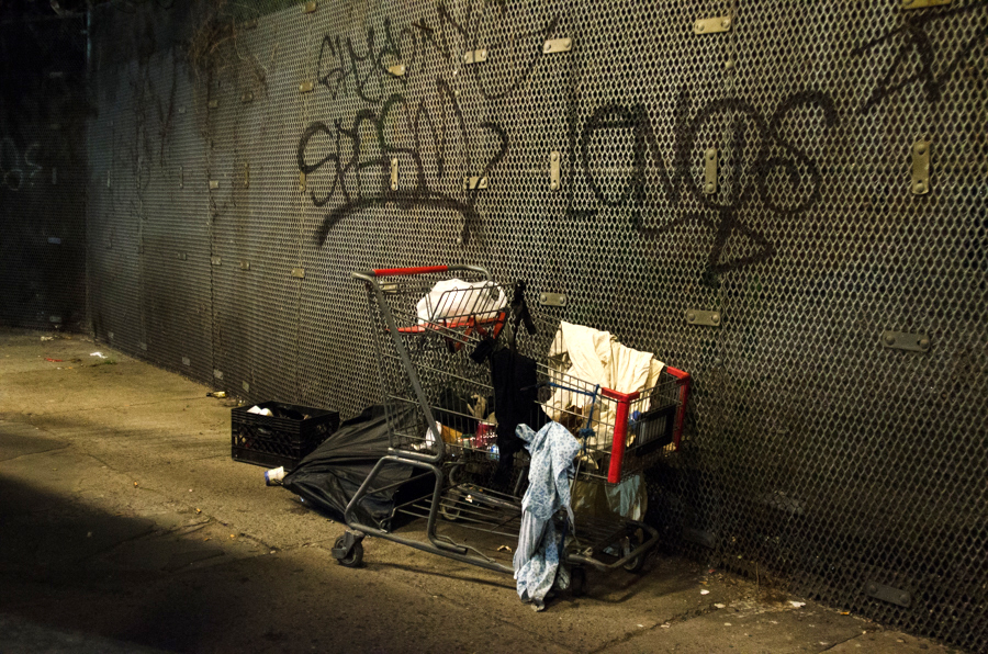 Shopping Cart_7186.jpg