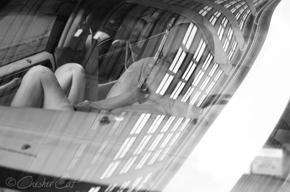 Sleeping Beauty, 2017 Shot on Nikon D7000 9/16/17 Posted 9/29/17