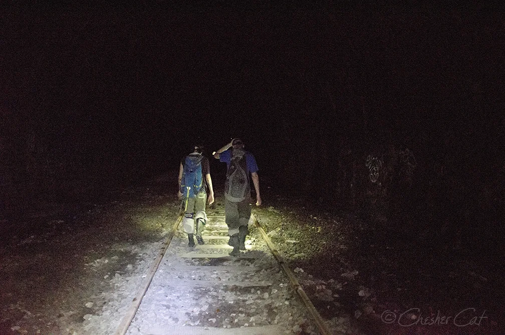 Chesher_Catacomb1_Tracks_7549.jpg