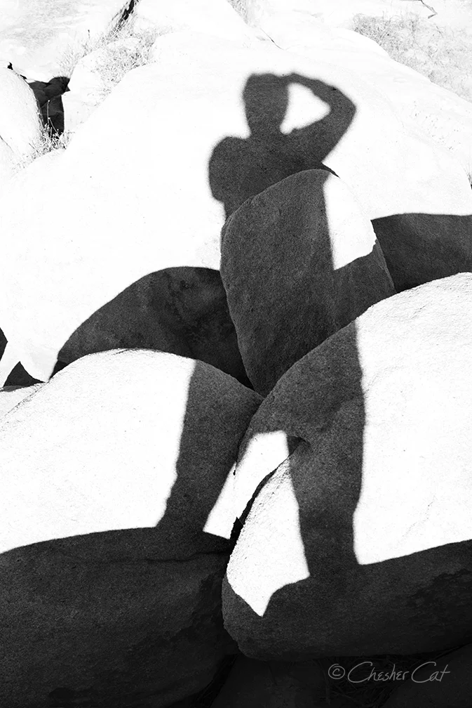 Self Portrait, 2015 Shot on Nikon D800 12/28/15 Posted 10/28/17