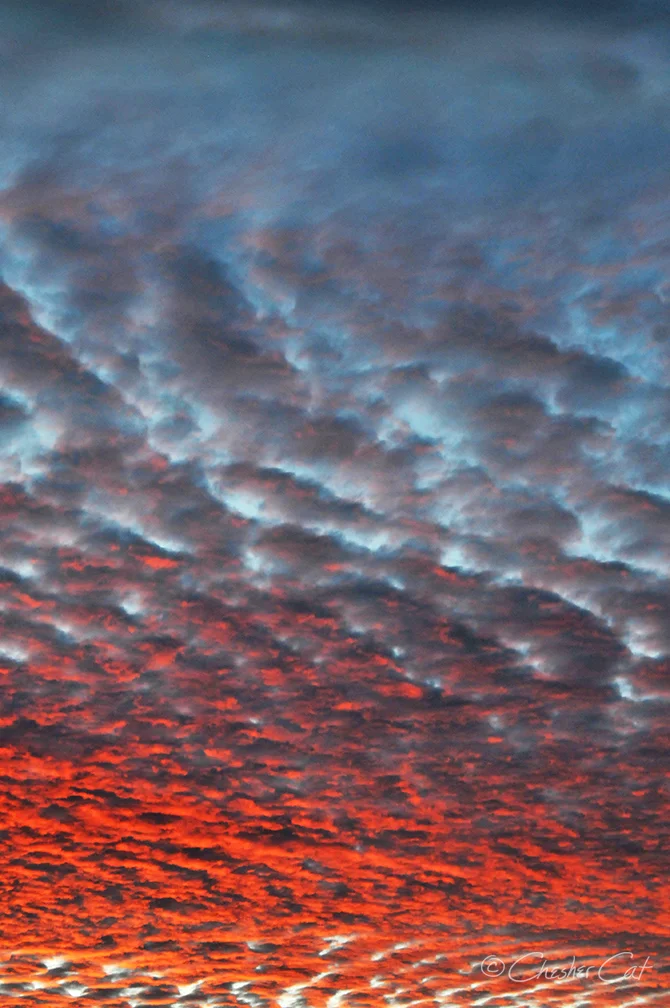 Sunset, 2010 Shot on Nikon D300 01/24/10 Posted 11/12/17