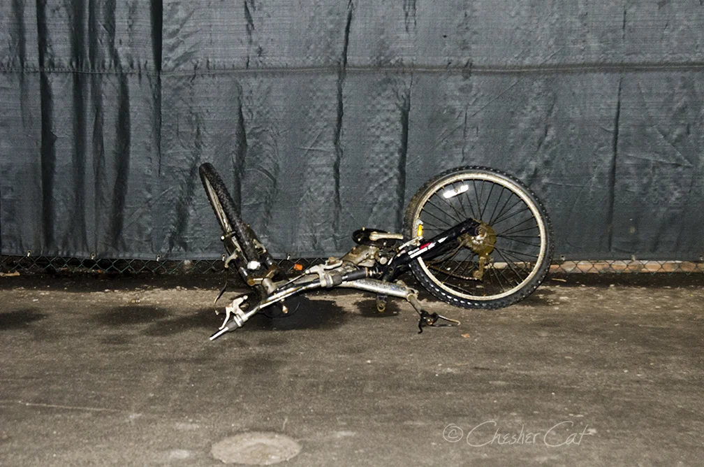Bicycle Dead, 2018 Shot on Nikon D7000 02/19/18 Posted 07/11/2018
