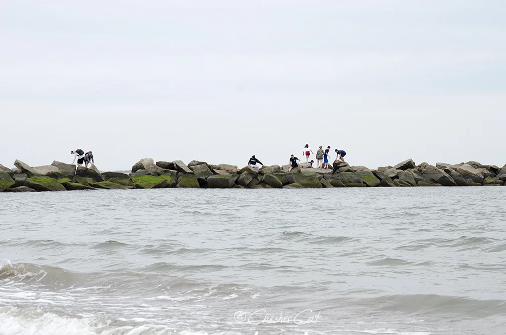 Rock Jetty Walk, 2018 Shot on Nikon D7000 5/5/18 Posted 08/11/2018