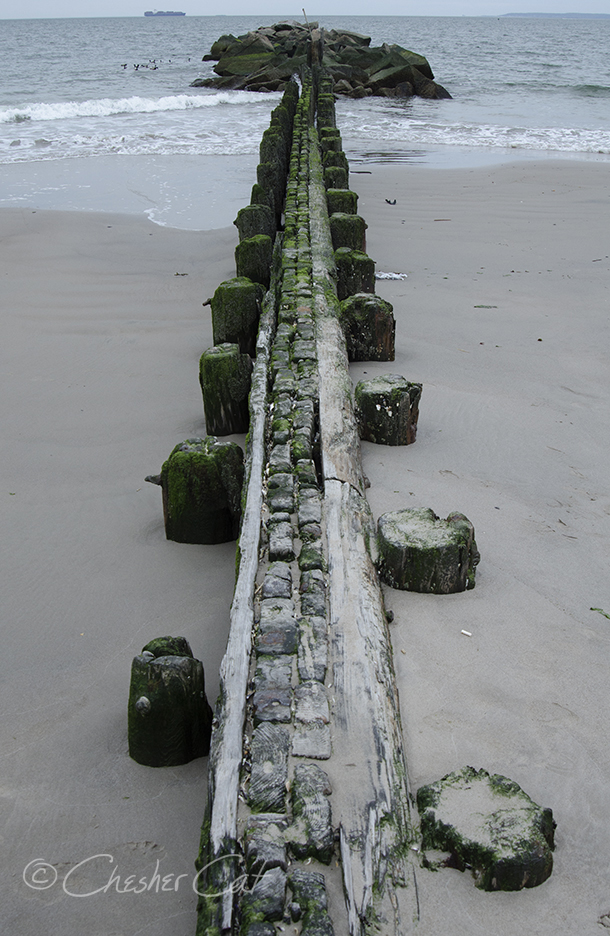 Jetty, 2018 Shot on Nikon D7000 5/05/18 Posted 09/08/18