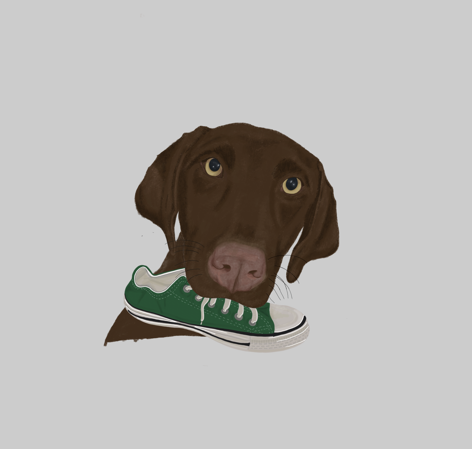 Screen Shot 2019-03-11 at 11.33.41 AM.png