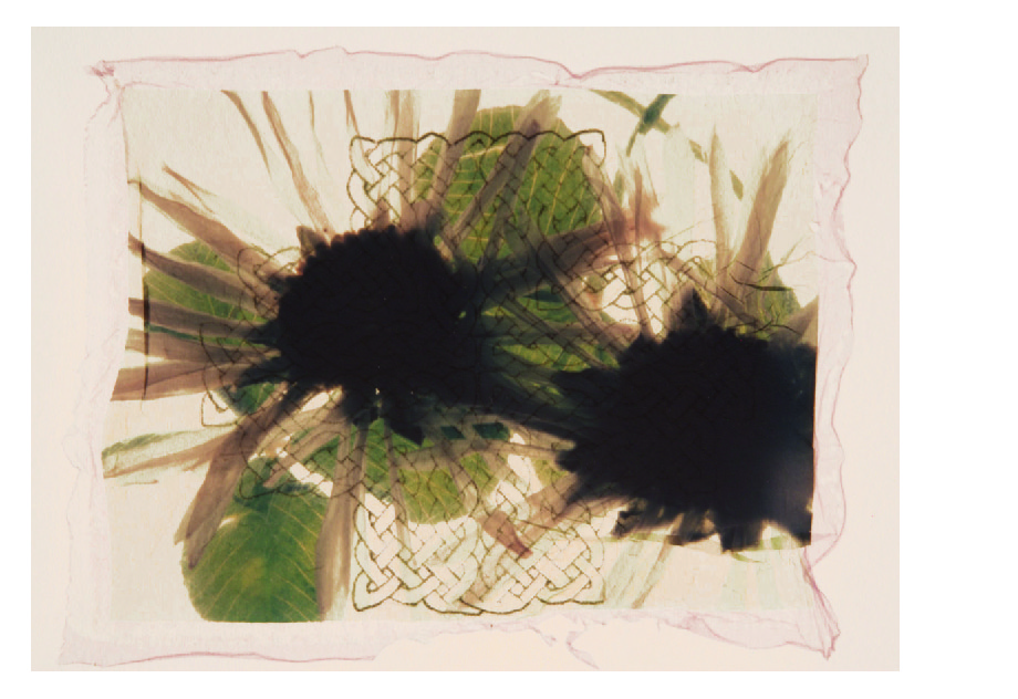 printmaking_collages_4-04.jpg