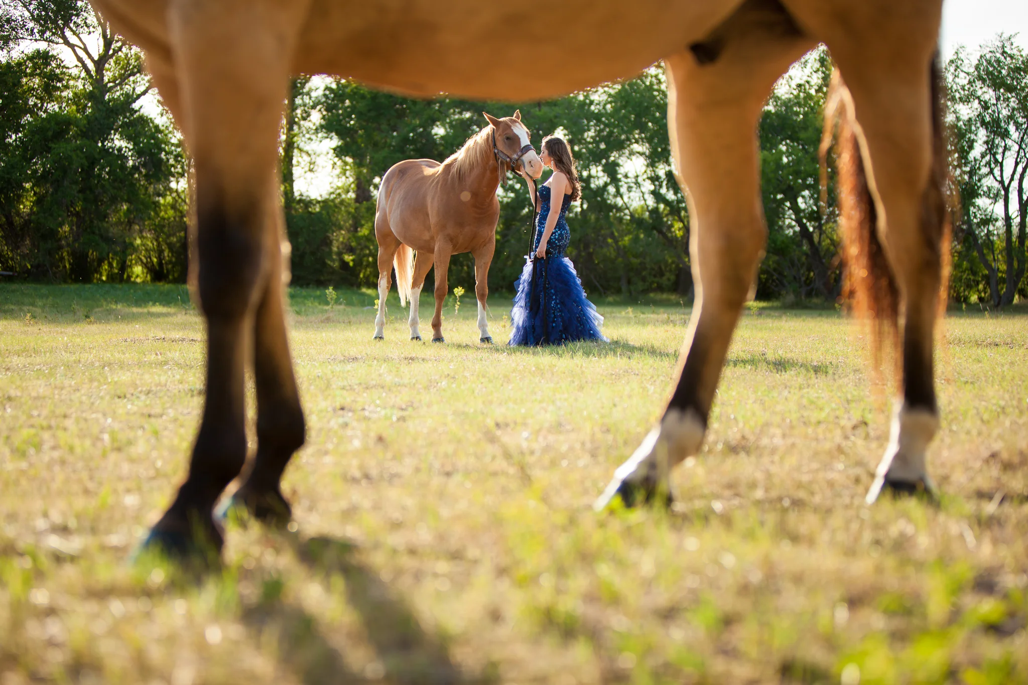 Medicine Hat Wedding Photography