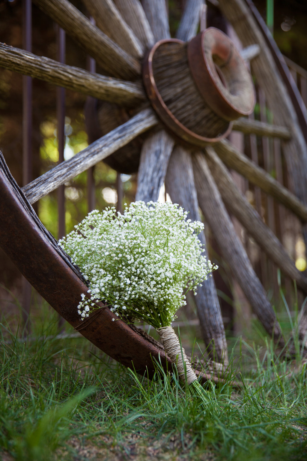 Chasing Autumn Photography - Medicine Hat Photography - Lethbridge Wedding Photography - Saskatchewan Wedding Photography