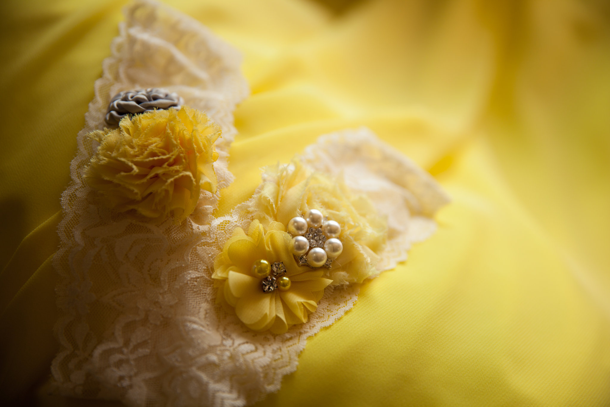 Chasing Autumn Photography - Medicine Hat Photography