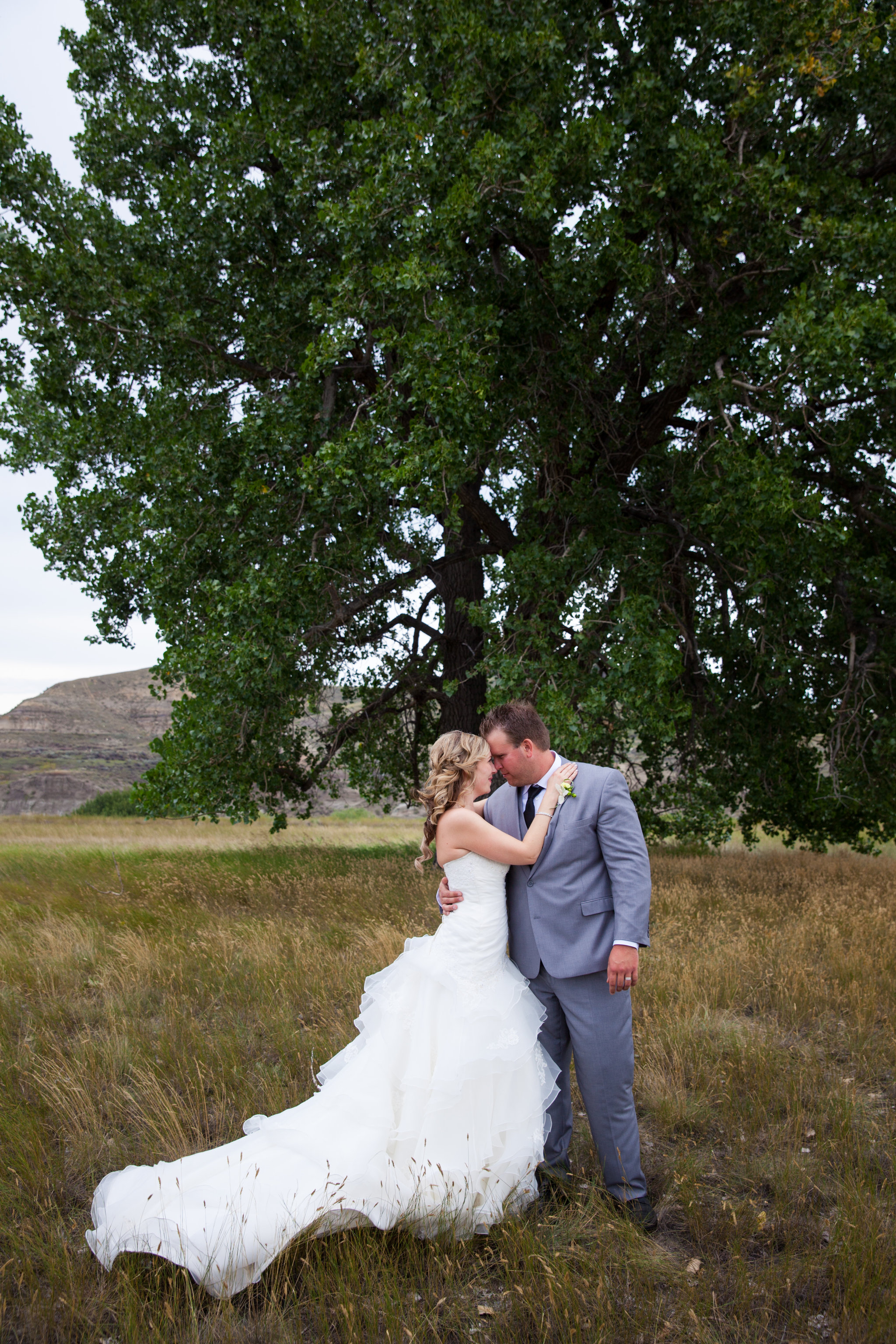 Chasing Autumn Photography - Medicine Hat Photography