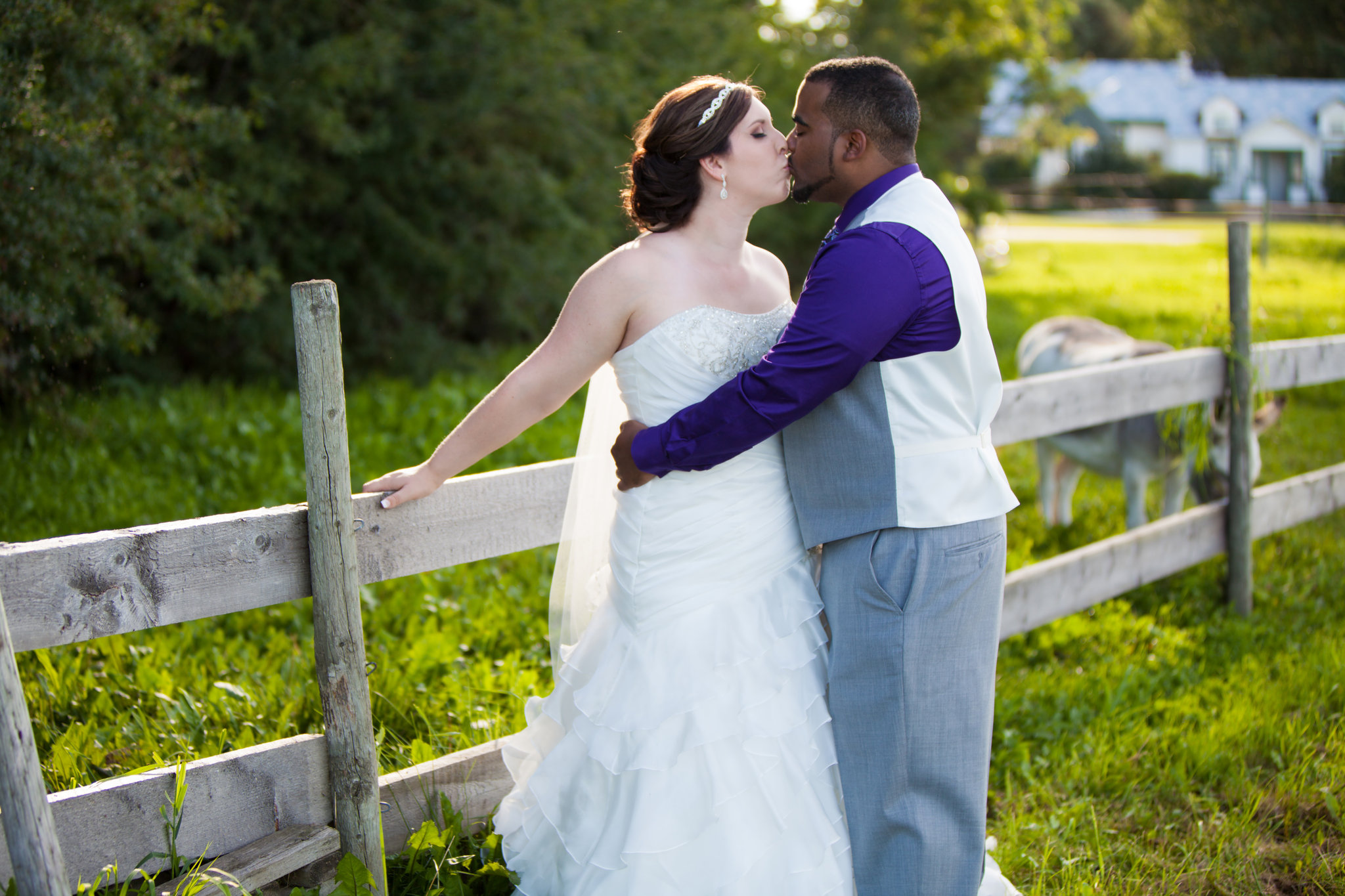 Chasing Autumn Photography - Medicine Hat Photography