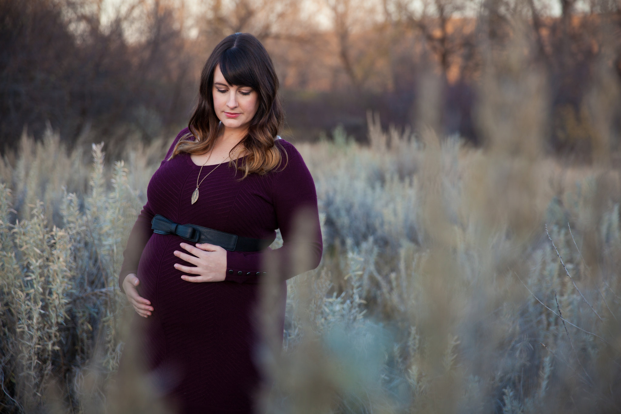 Chasing Autumn Photography - Medicine Hat Photography