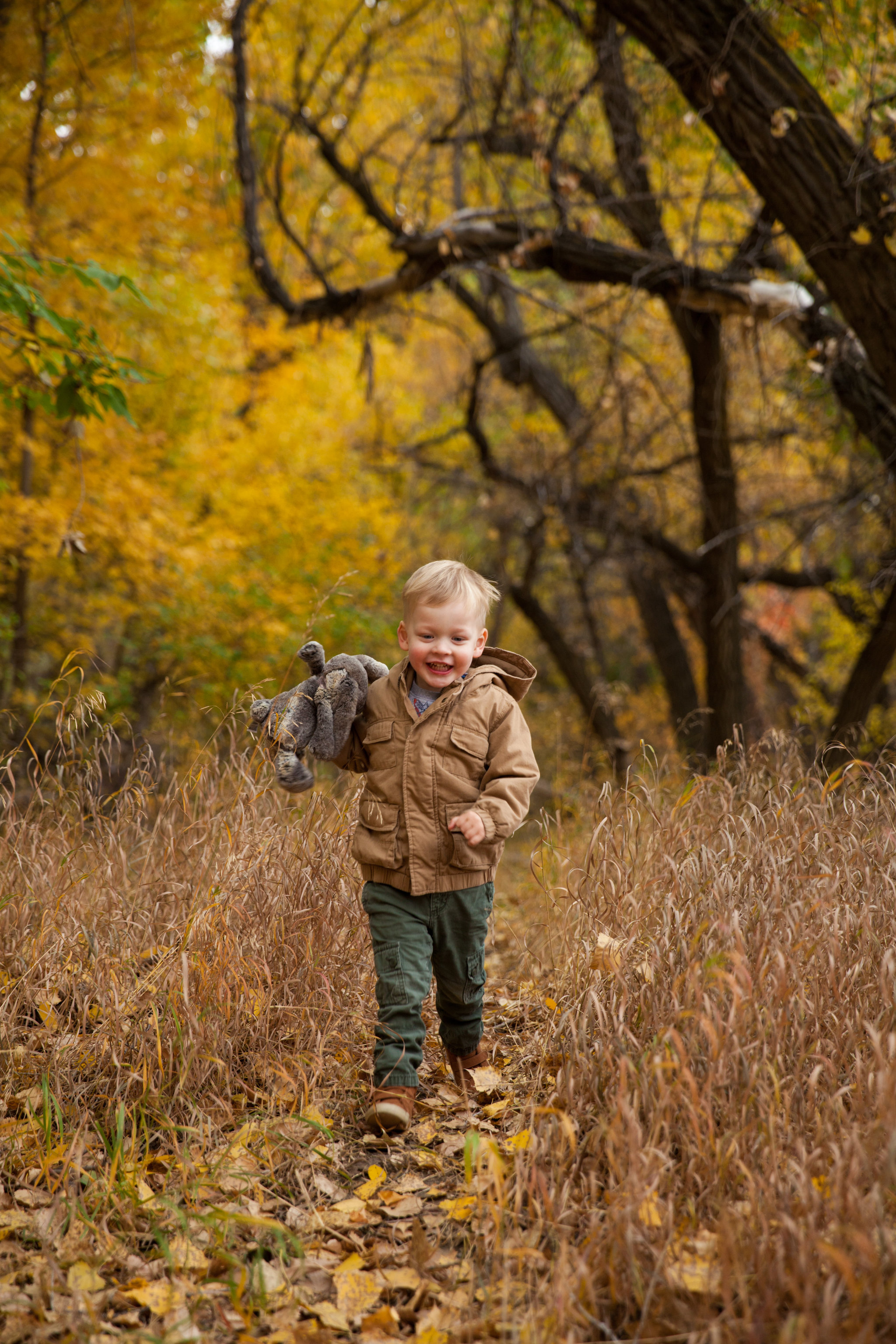 Medicine Hat Photographer, Fall Mini Sessions, Medicine Hat Mini Sessions, Fall Photos, Family Photos, Canadian Photographer, Chasing Autumn Photography, Medicine Hat Family Photographer
