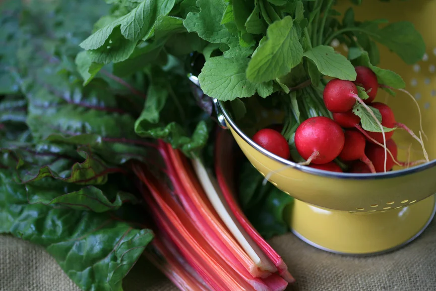 ruth fehr services banner.jpg