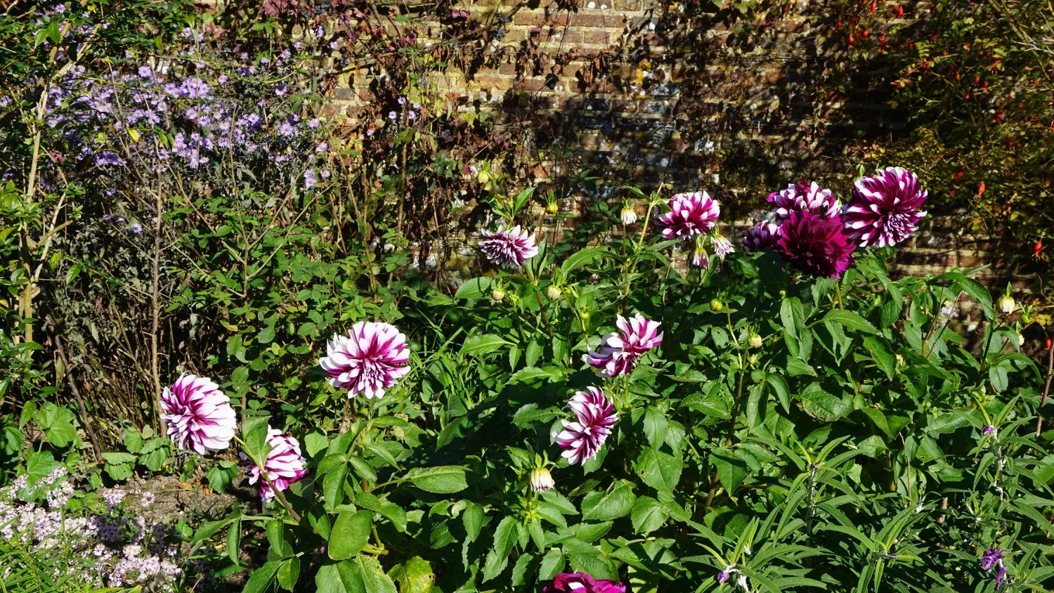 DSC05412.jpg