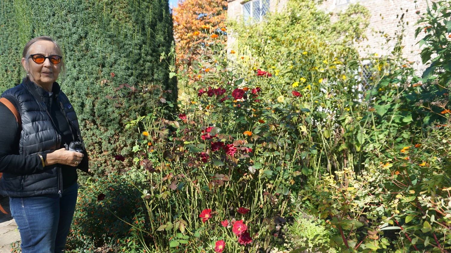 DSC05448.jpg