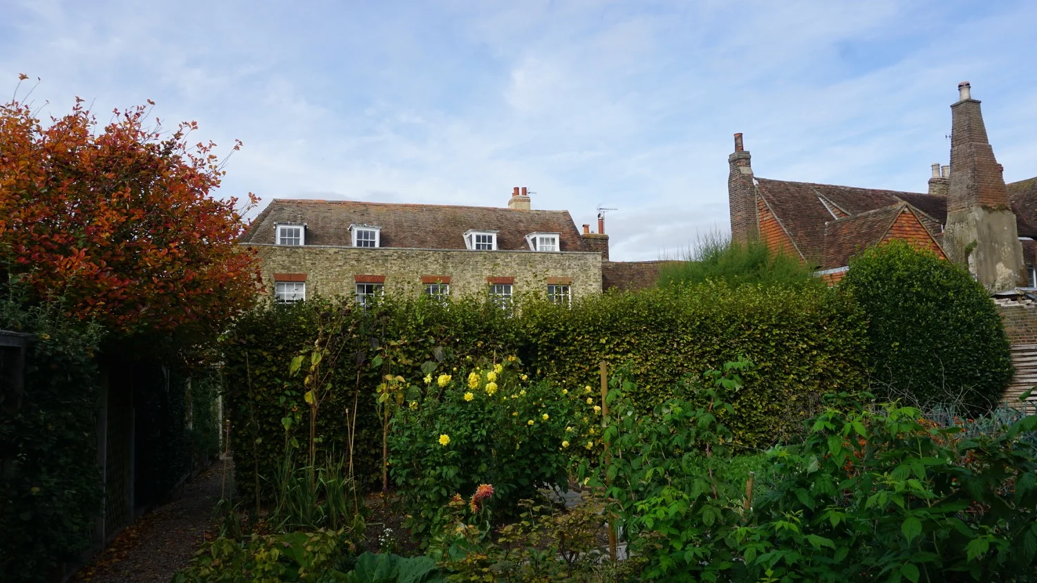 DSC05376.jpg