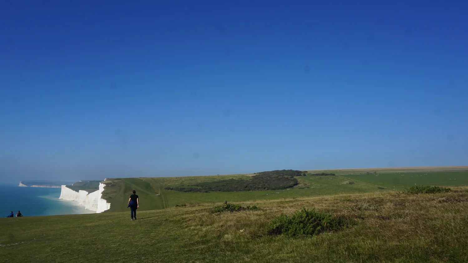 DSC05508.jpg