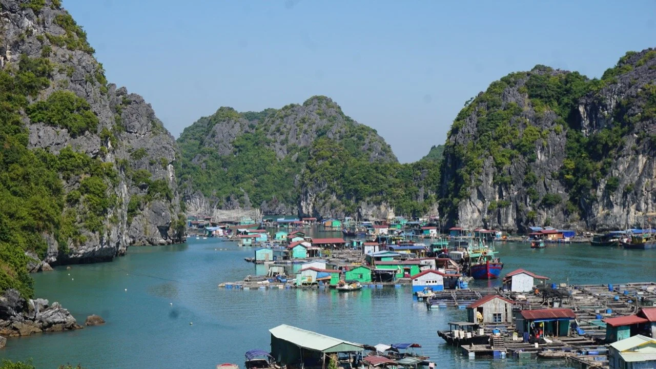Fishing Villages and dogs - 2.jpg