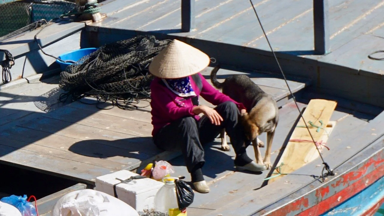 Fishing Villages and dogs - 11.jpg