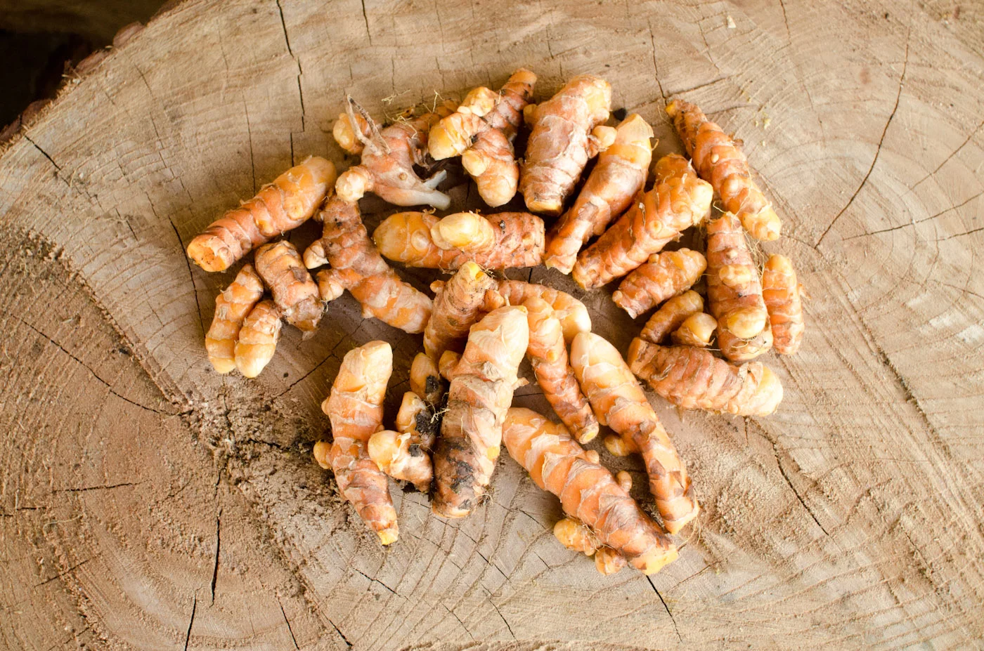 turmeric rhizomes-6191.jpg