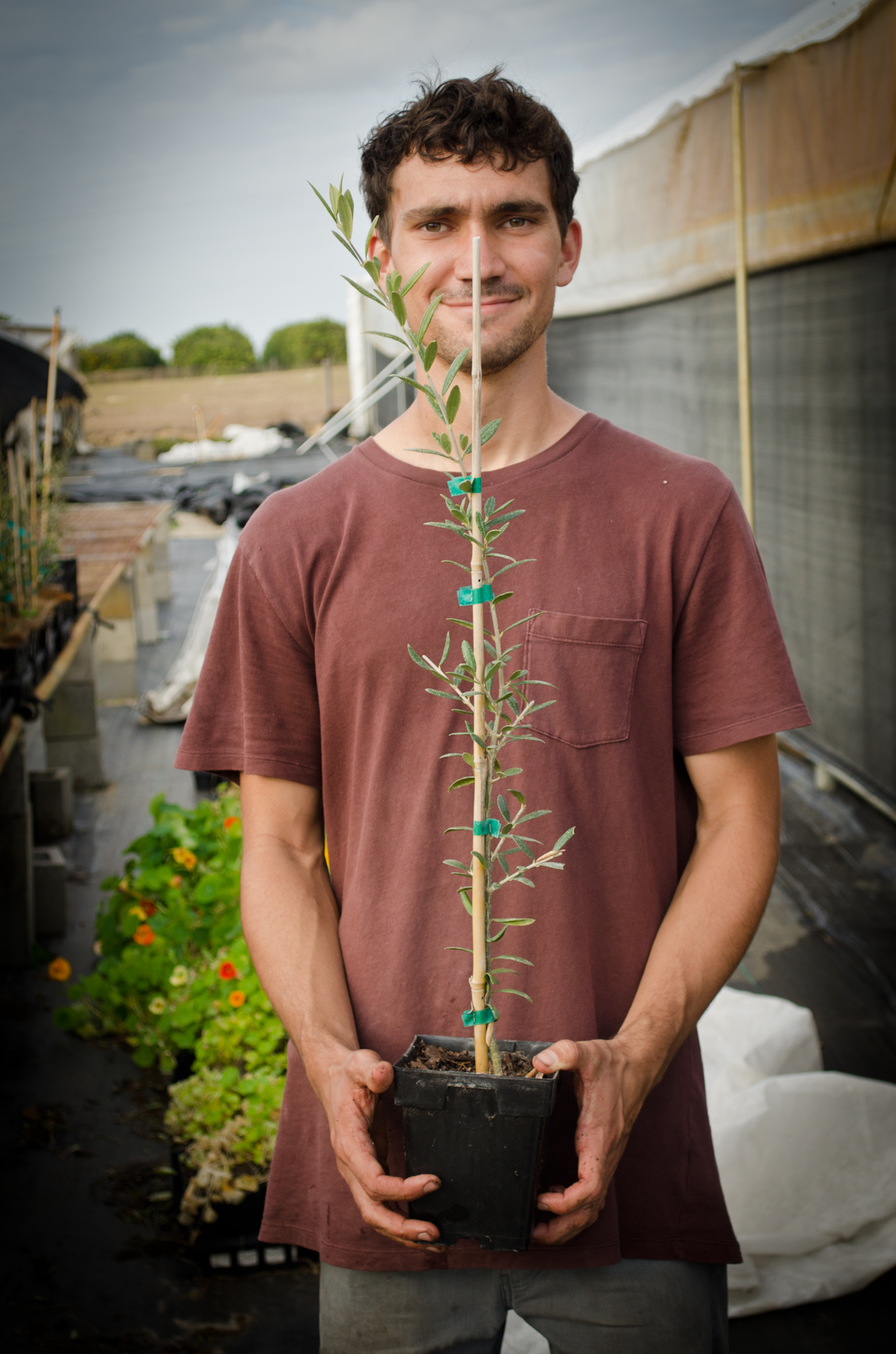 6" Pot Standard