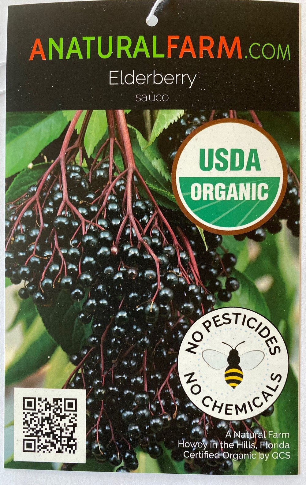 Live Plants Please Scroll Down A Natural Farm