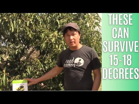 John Kohler last video at our farm in January 2023