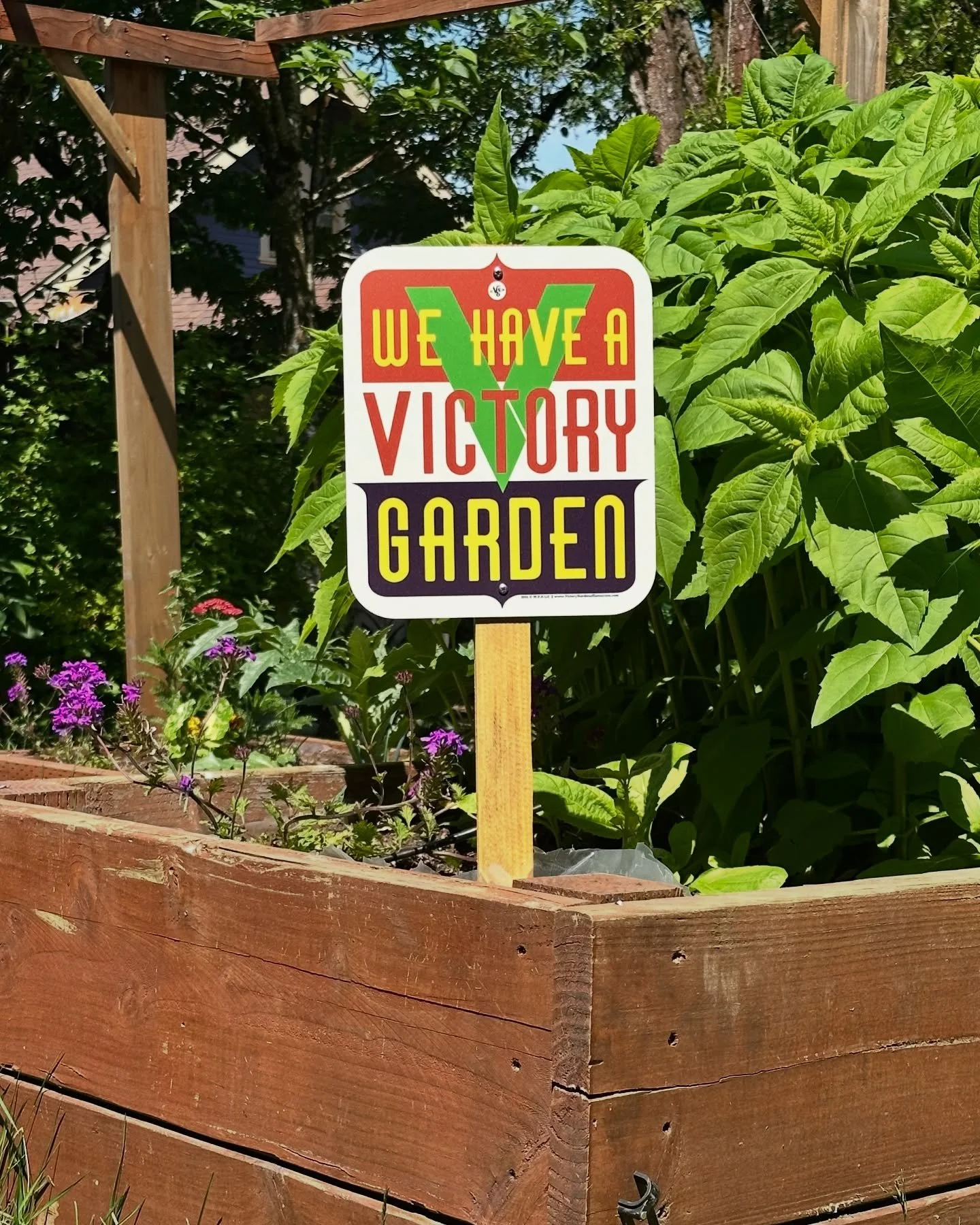 This was the first garden sign I ever made. The layout is based on an old gardening manual from the 1940&rsquo;s when Victory Gardening was an earnest effort. So why can&rsquo;t it be an earnest effort today? Victory over the forces that pull us down