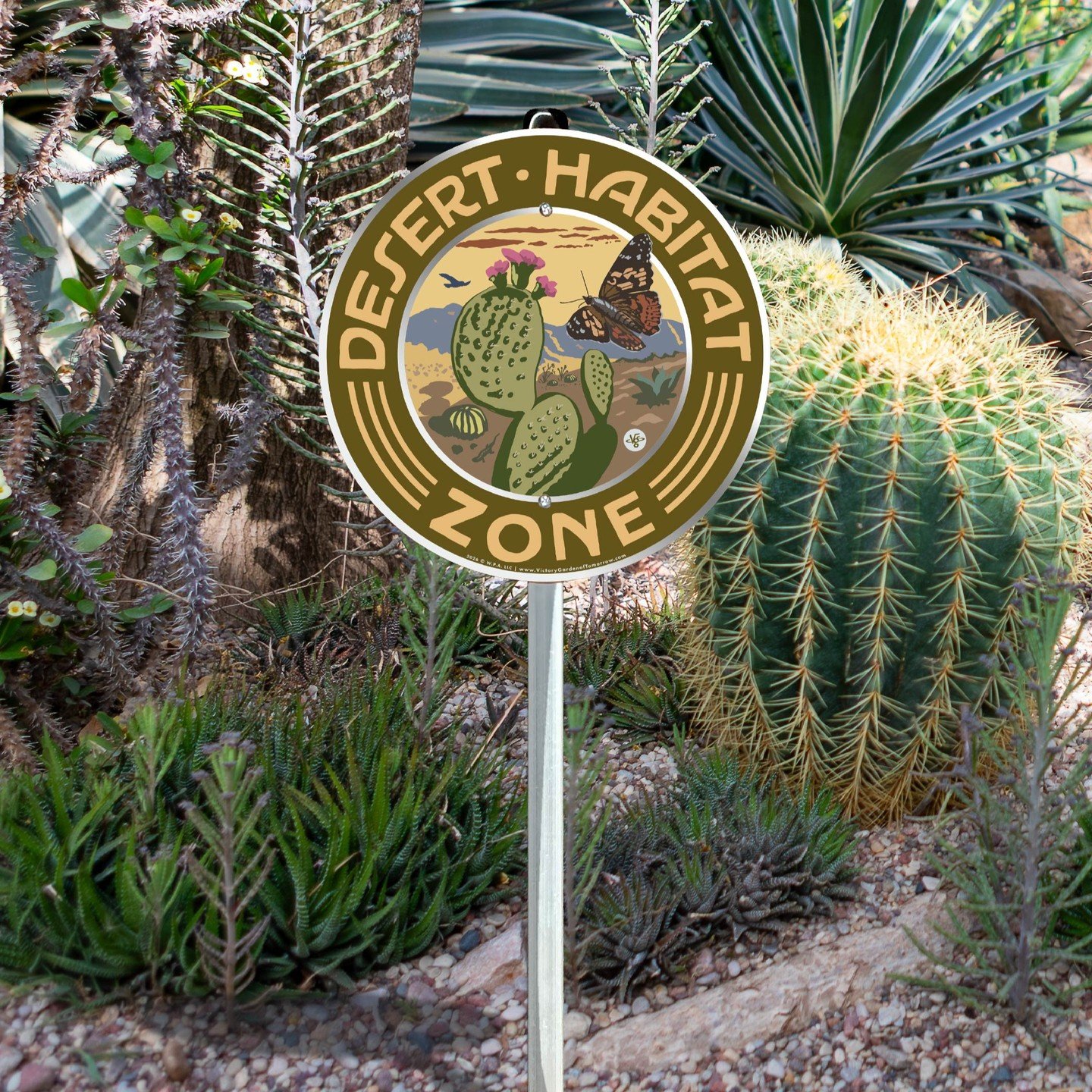 These past several years I've gotten to know the Sonoran Desert, around Tucson, Arizona. Its easy to fall in love with the seasons (monsoon!), and the wildlife (painted lady butterflies!), plus cactus (saguaro!) and succulents for days ;-) I made a s