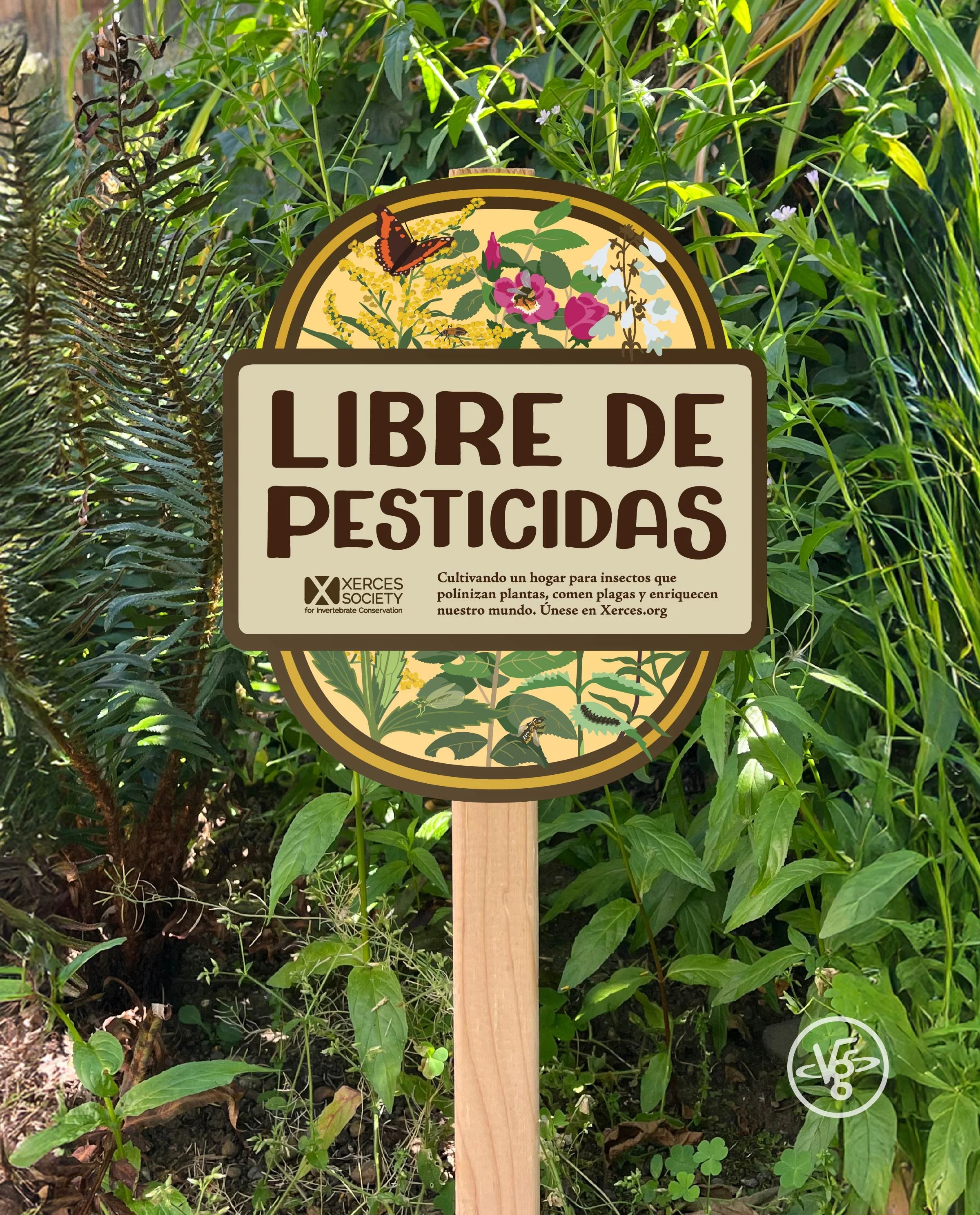 2026-VGoT-SPANISH-PESTICIDE-3.jpg