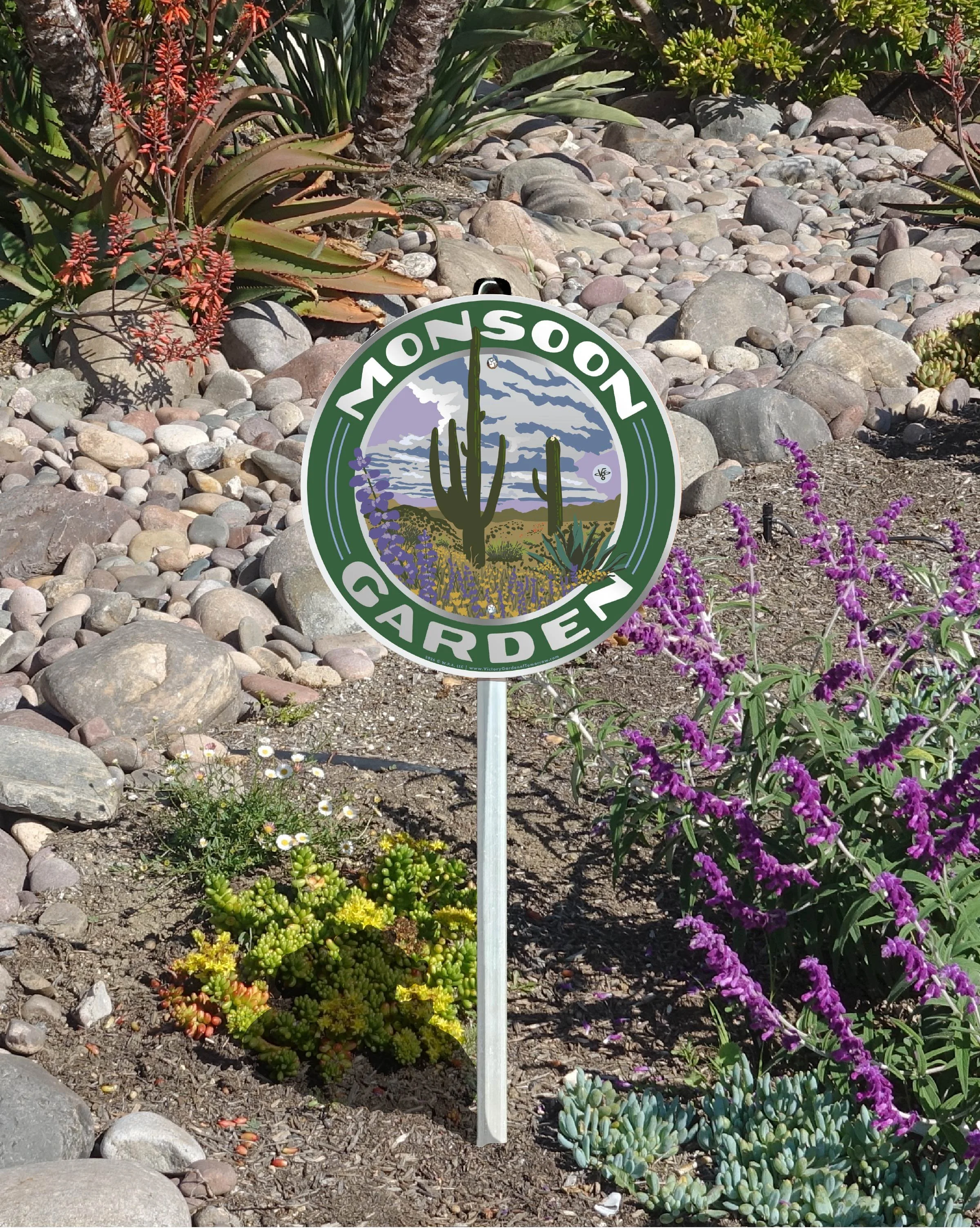 2026-VGoT-Desert-Signs-Monsoon scene.jpg