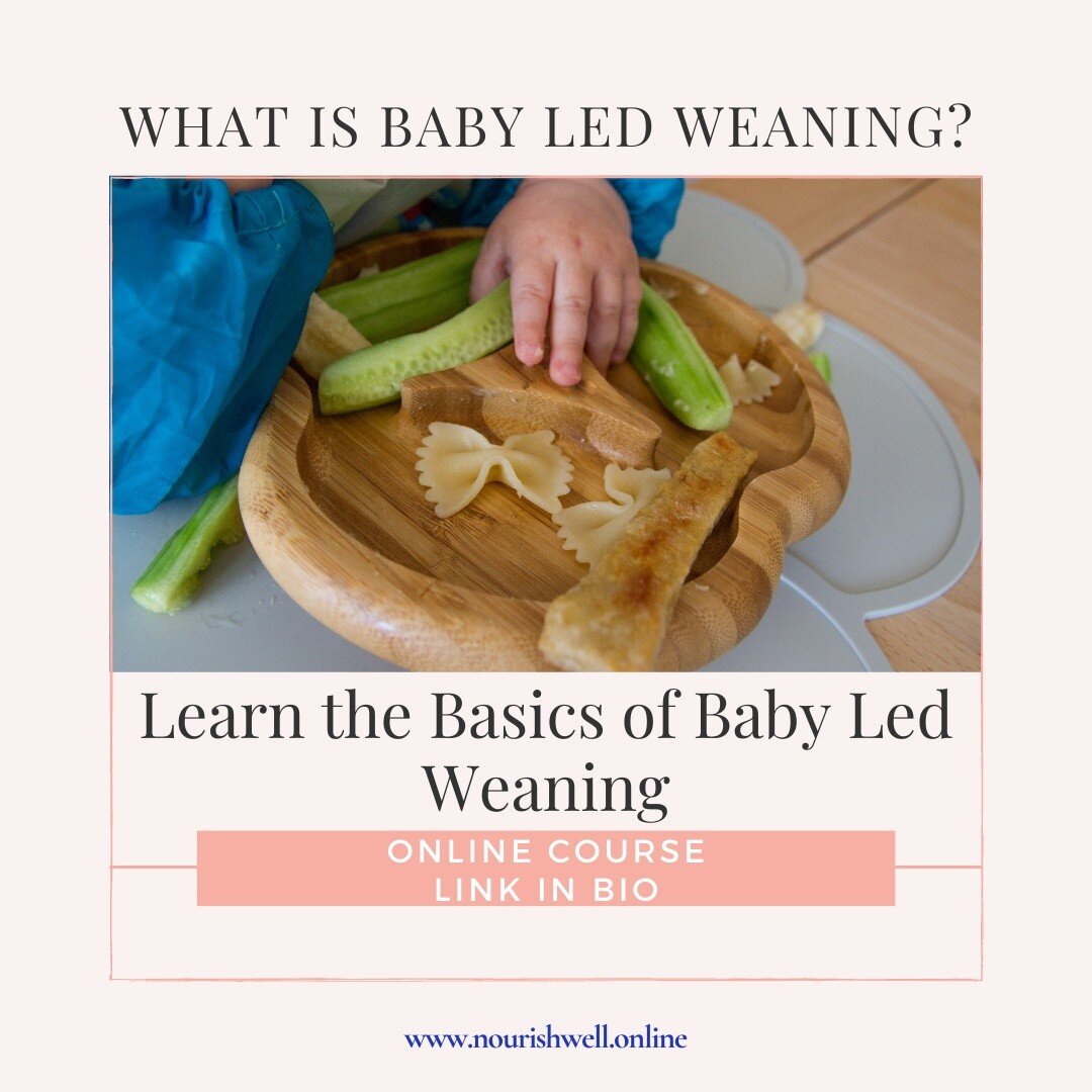 Baby Led Weaning is a method of introducing solids that promotes adventurous eating with a full sensory experience of textures and flavors before the age of one. Babies learn to self-regulate and eat family meals. 

Learn why this is important for li