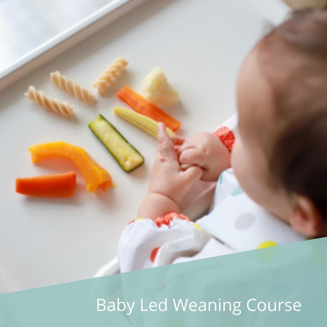 Baby Led Weaning Course.jpg