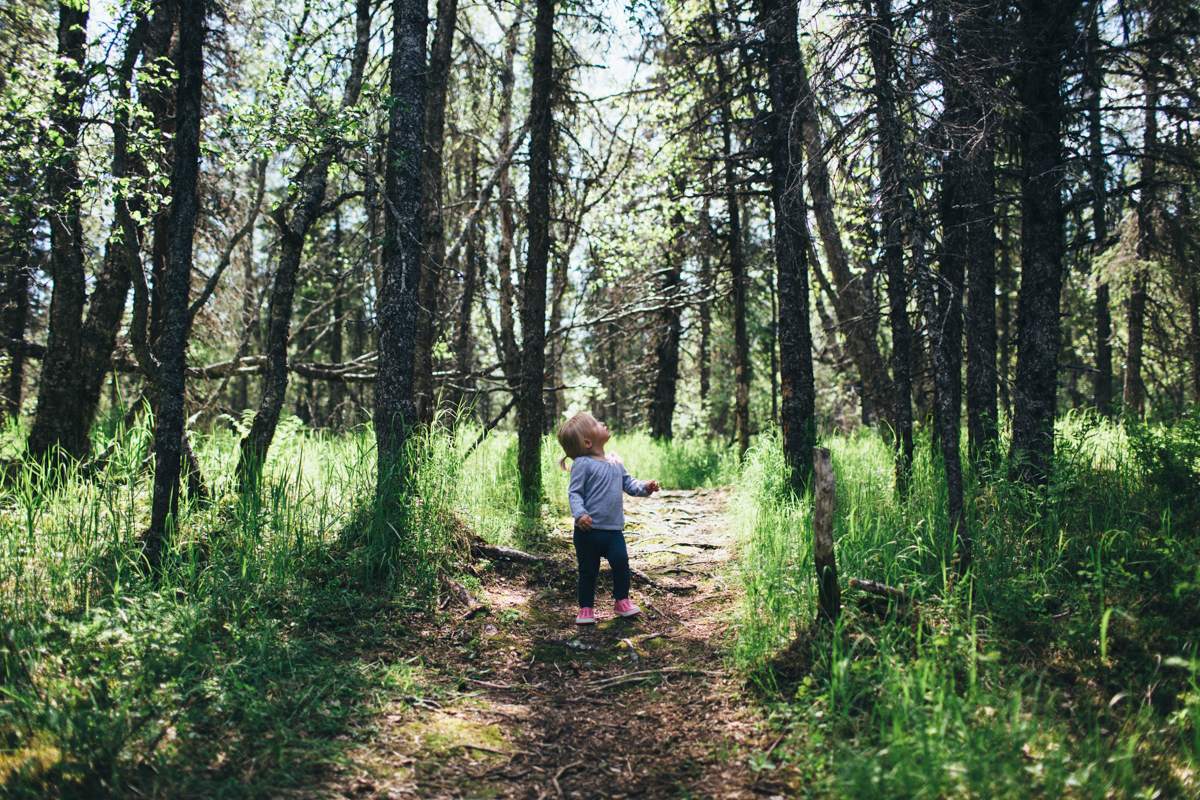 jess-hunter-photography-alaska-wedding-photographer-anchorage-elopement-197.jpg
