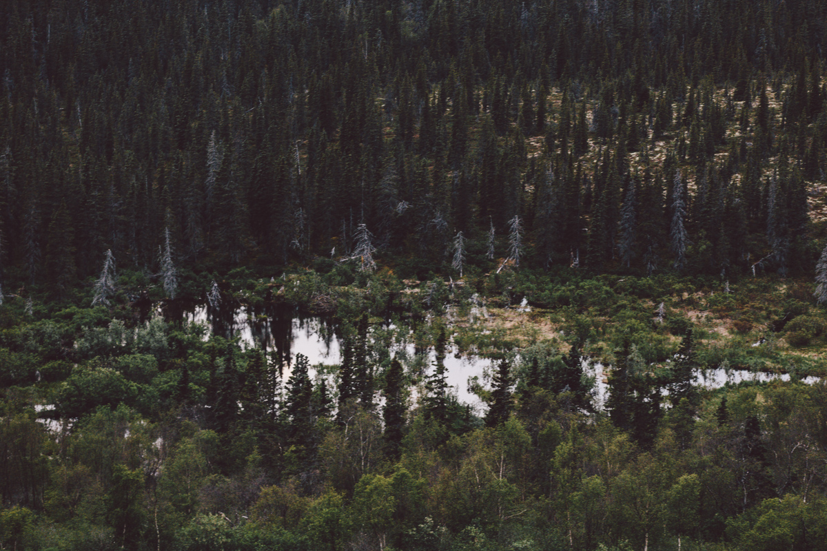 Dillingham, Alaska adventure photography
