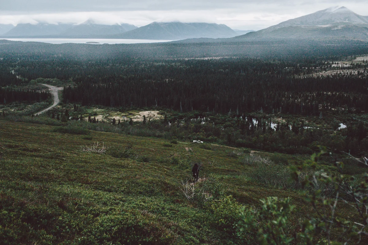 Dillingham Alaska, rural Alaska, bush Alaska wilderness, Anchorage Alaska wedding photographer, Alaskan adventures, elope in Alaska, hiking in Alaska, hiking under the midnight sun, Alaskan portrait photographer, photo by Jess Hunter, adventure photography, intimate wedding photographer in Alaska, exploring Alaska, Bristol Bay commerical fishing
