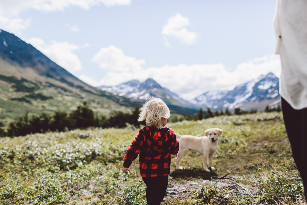 Photo by Jess Hunter, Anchorage Alaska wedding & elopement photographer, Chugach mountain range, Anchorage mountain portrait sesssion, adventure photography, elopement locations in Alaska, Jessica L. Hunter, mountain maternity session in Alaska