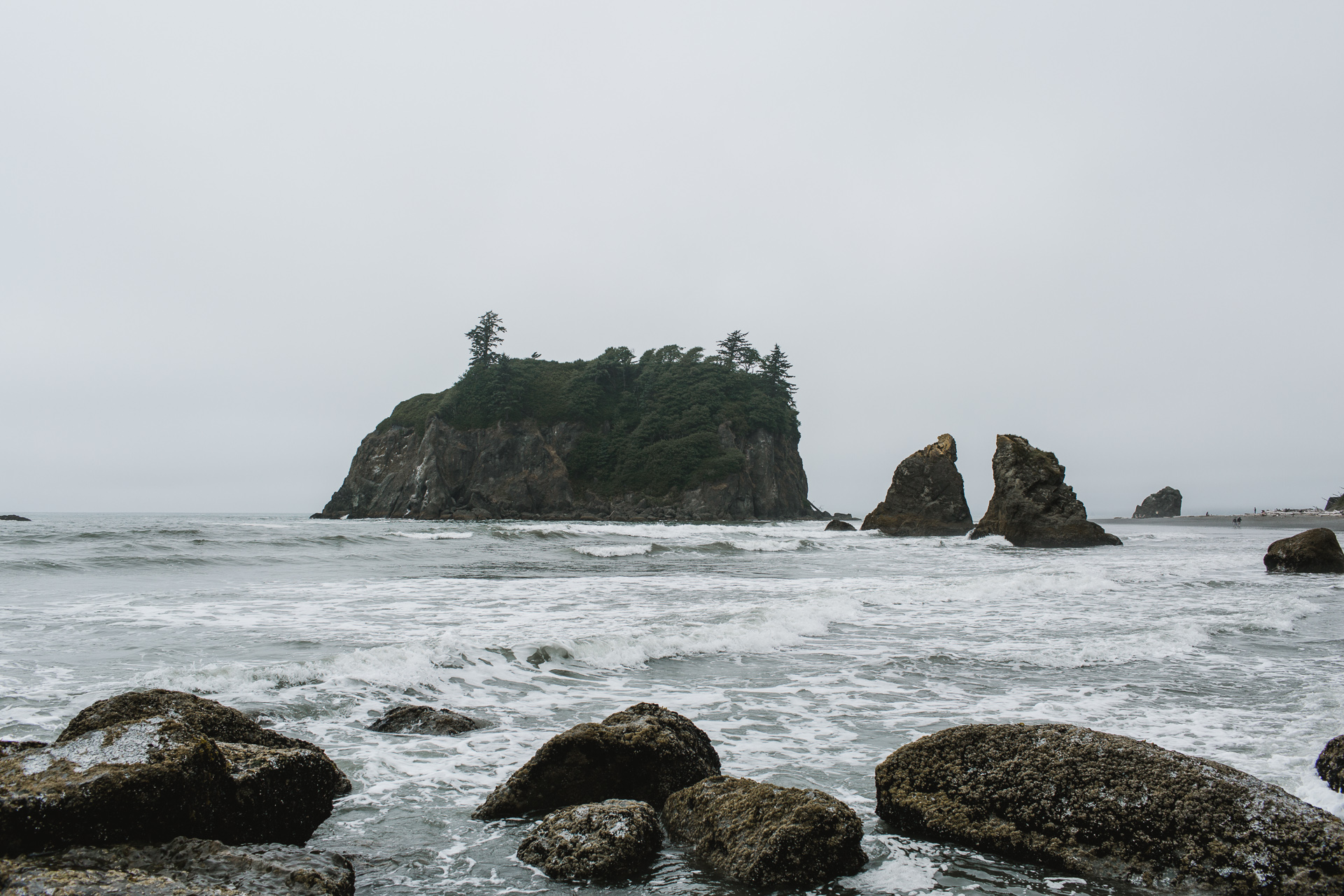 photography by Jess Hunter, Ruby Beach in Olympic National Park, Washington coast elopement location, Seattle intimate wedding photographer, explore Washington state, Olympic Peninsula travel photography, places to elope in the Olympic National forest, Pacific Northwest