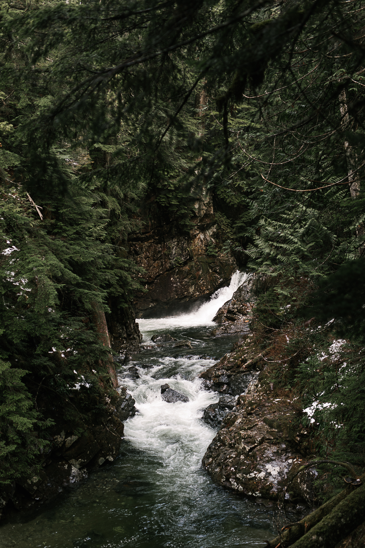Intimate forest elopement in Seattle, photography by Jess Hunter, pacific northwest wedding, Snoqualmie Pass waterfall elopement, bohemian wedding in Portland,