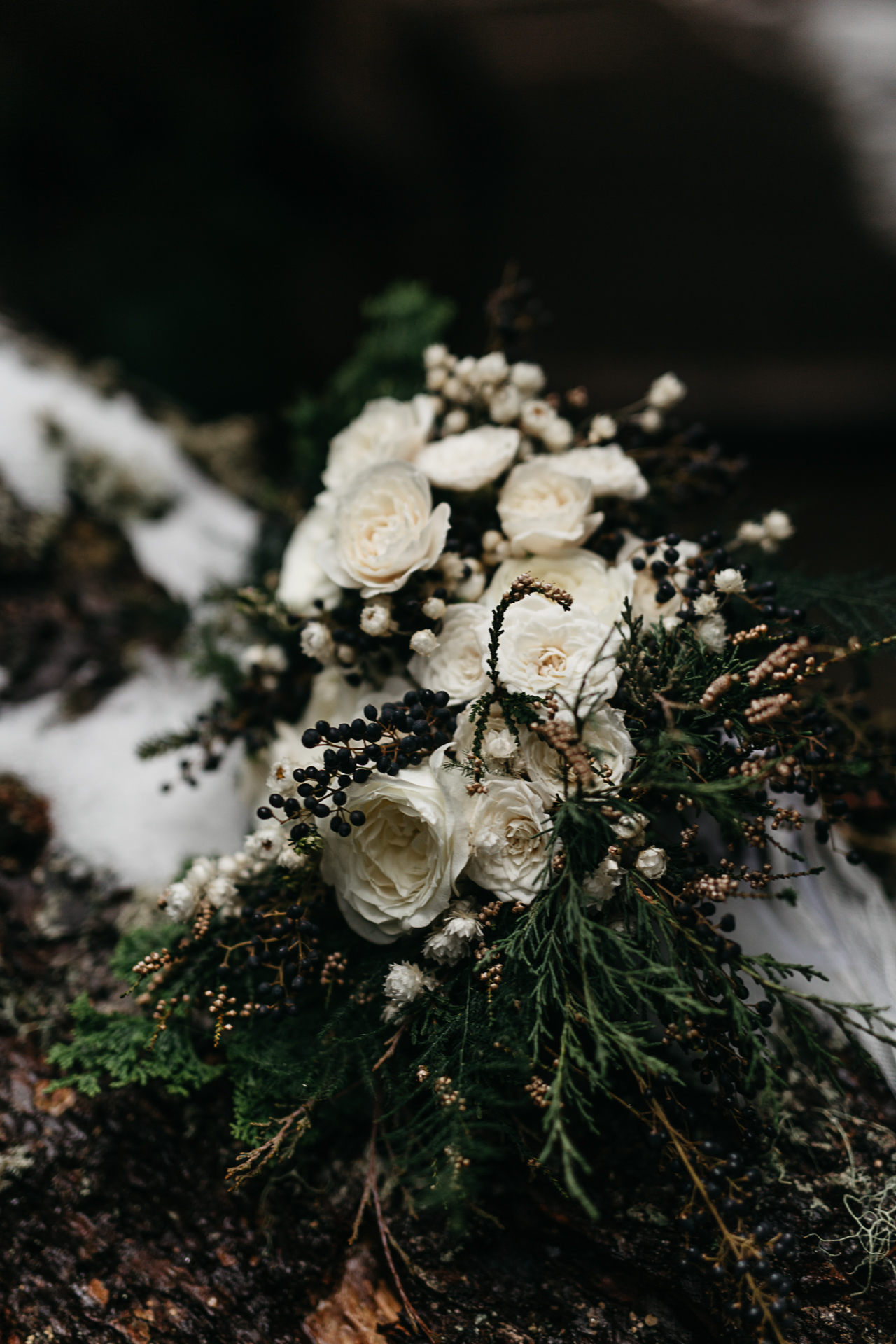 jess-hunter-seattle-mountain-forest-elopement-2362.jpg