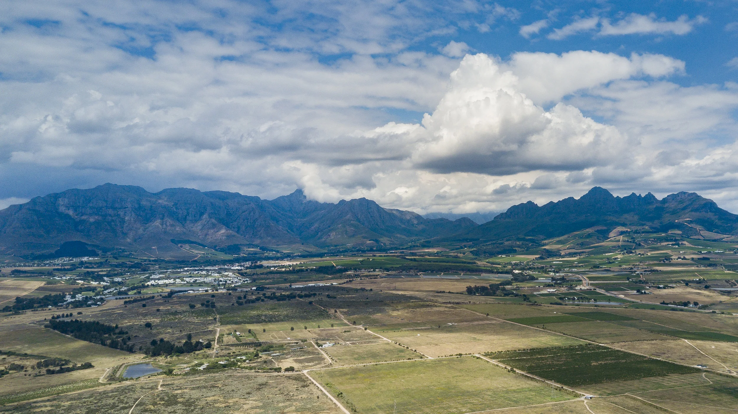 TCS_SouthAfrica-1539.jpg