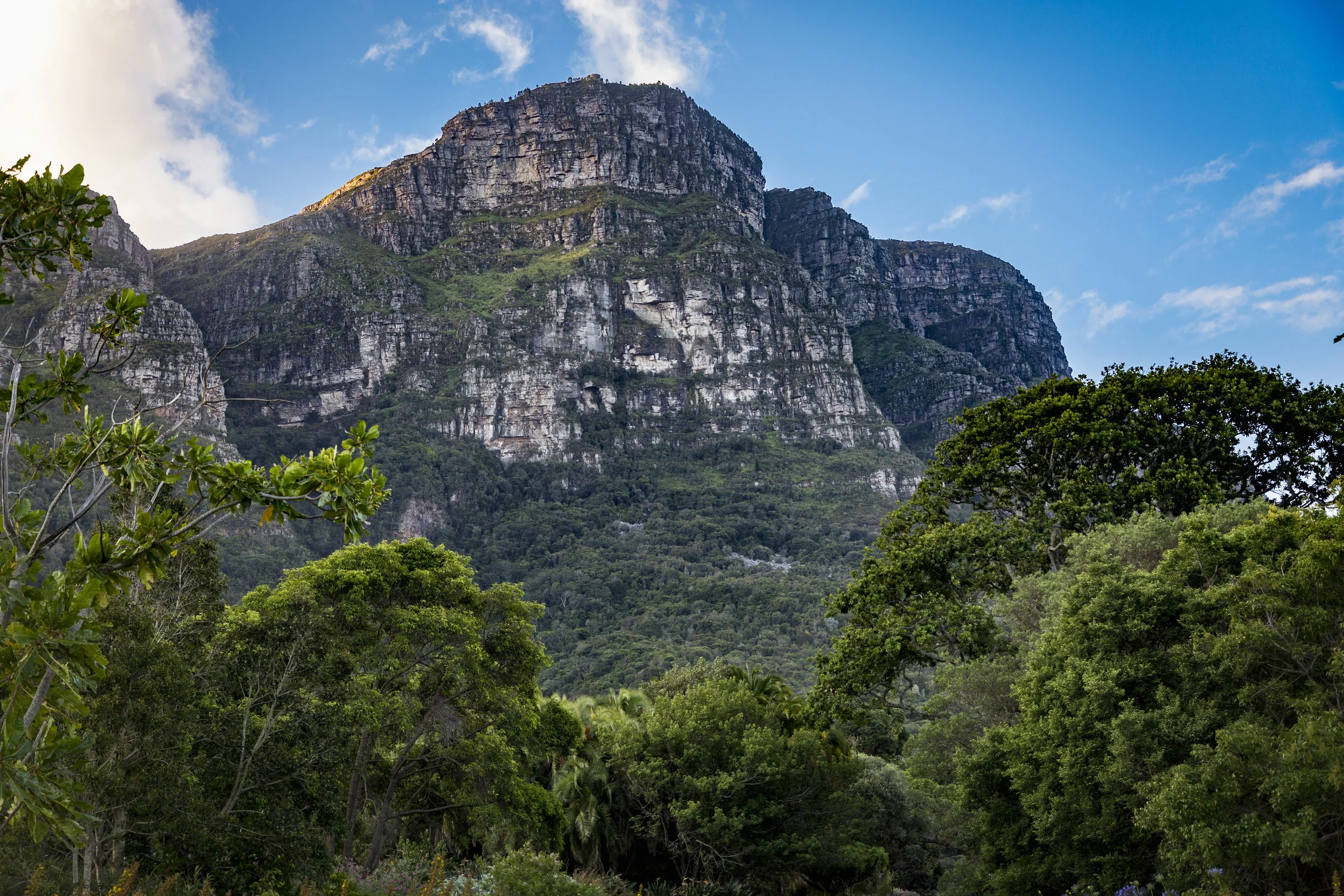 TCS_SouthAfrica-1473.jpg