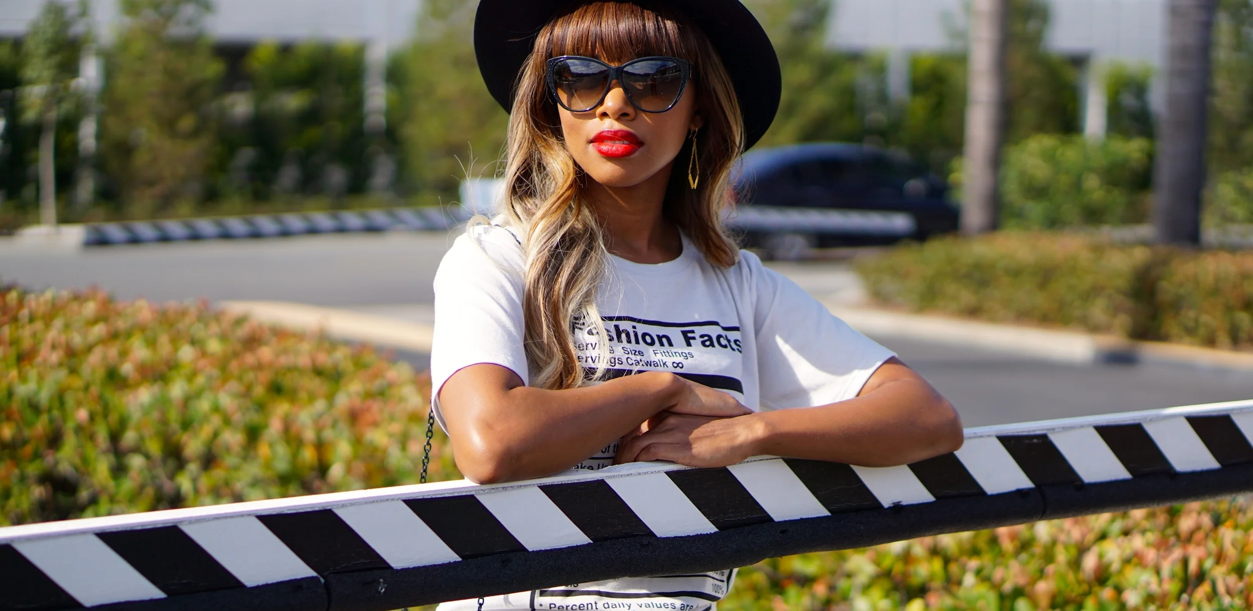 Lights, Camera, Action