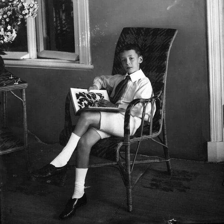 How Nabokov preserved his lost childhood like a butterfly in "Speak, Memory"