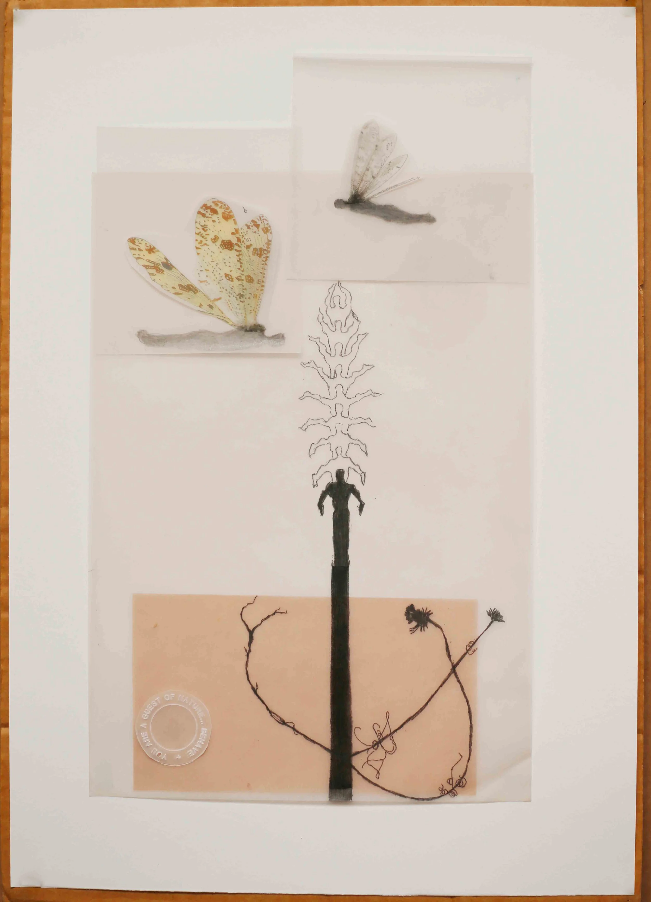 Metamorphosis