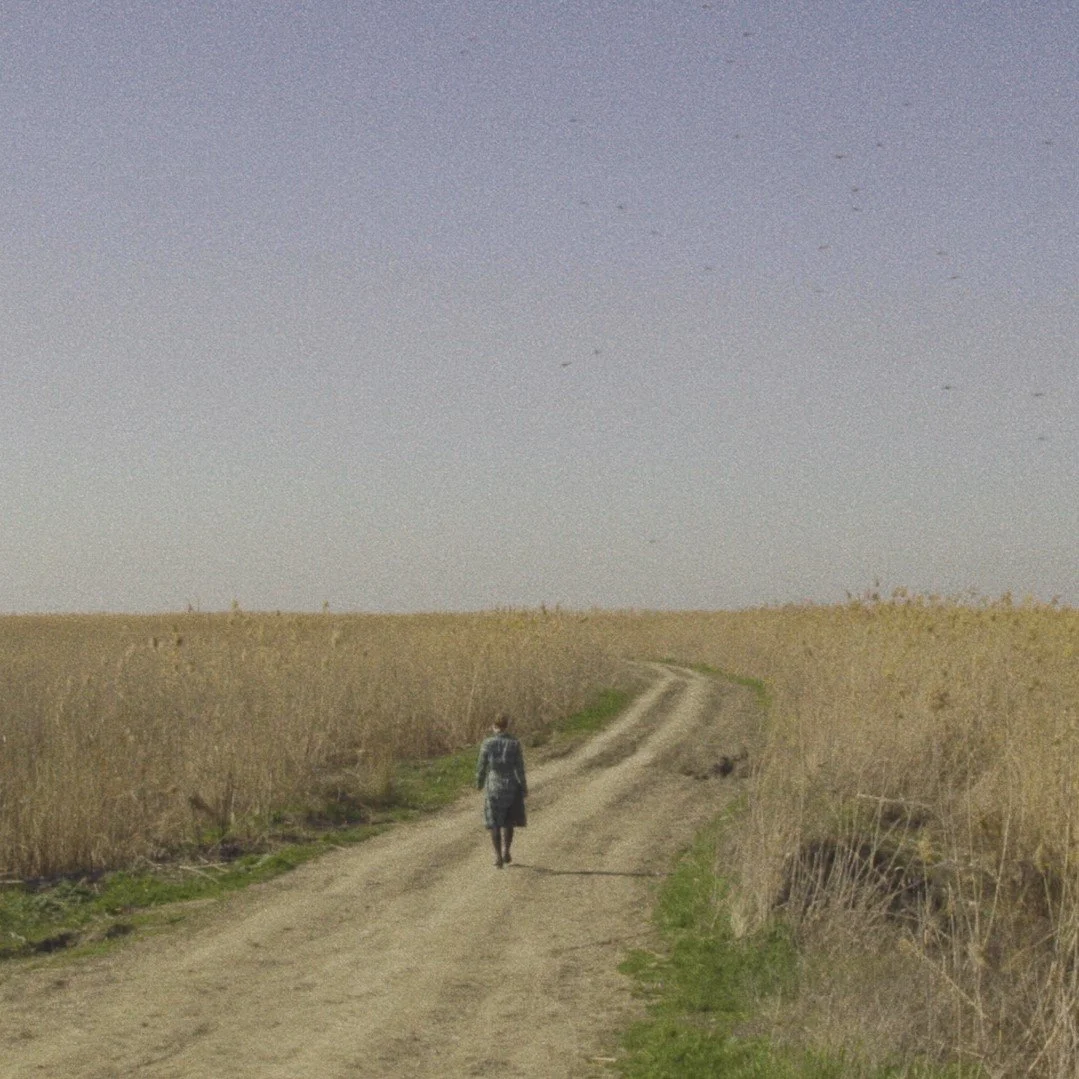 "Russia: Today". Film Screening, Live Performance and Q&amp;A