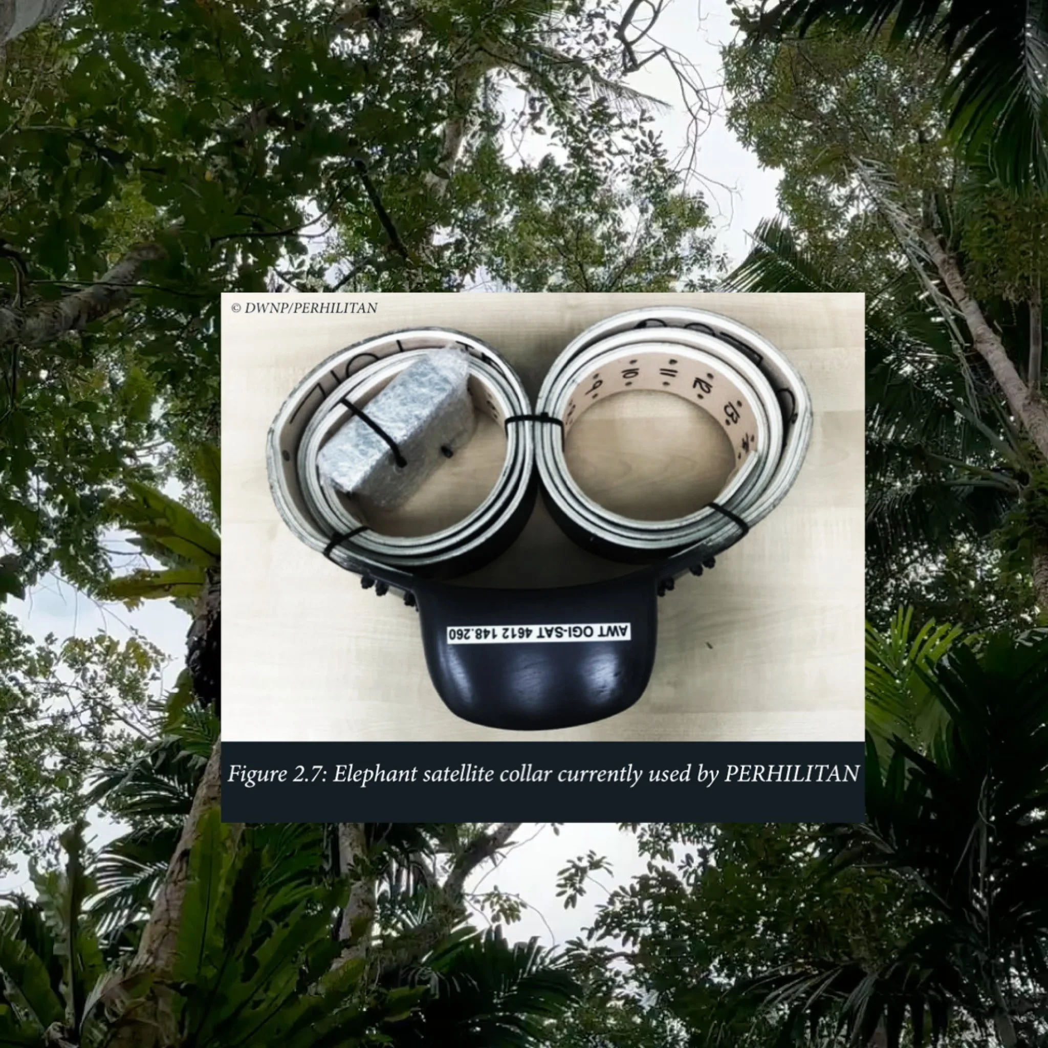 Slow Sips with Earth, Youngsook Choi